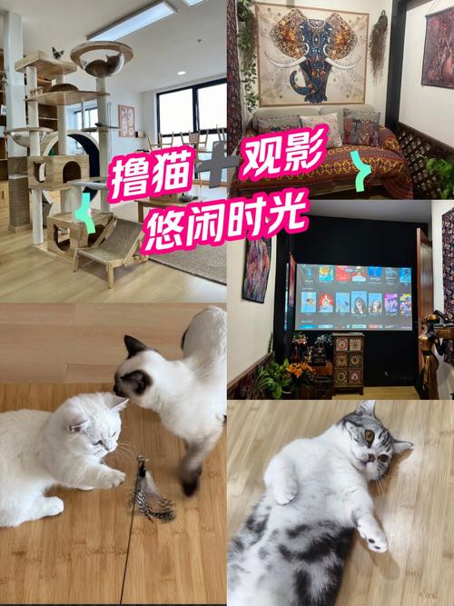 新视觉影院福利：免费追剧神器，海量高清大片抢先看
