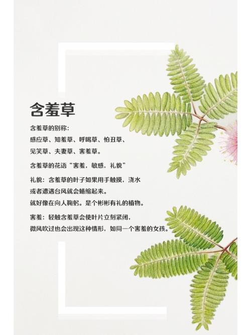 3p双龙被狂c躁到高潮小说的相关介绍