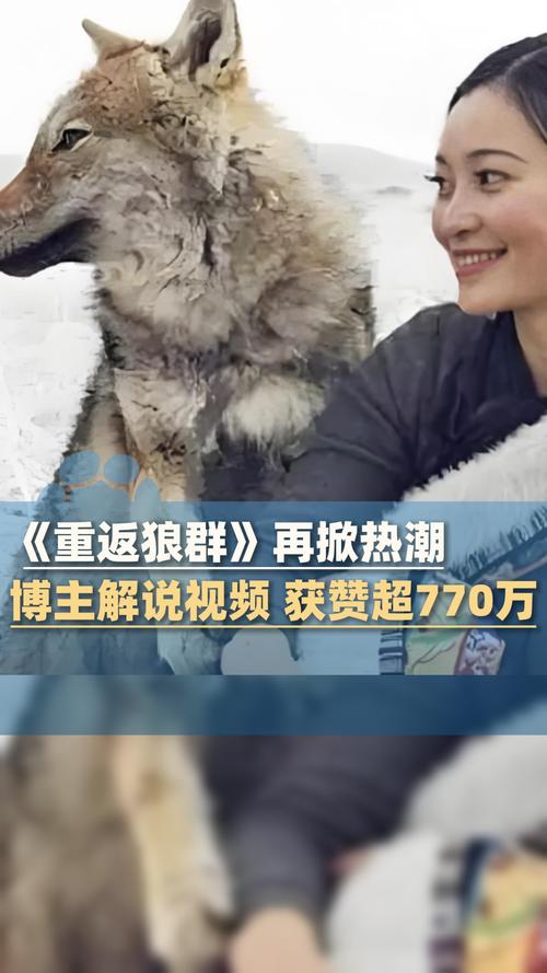 2022最新不卡国产毛片的相关介绍