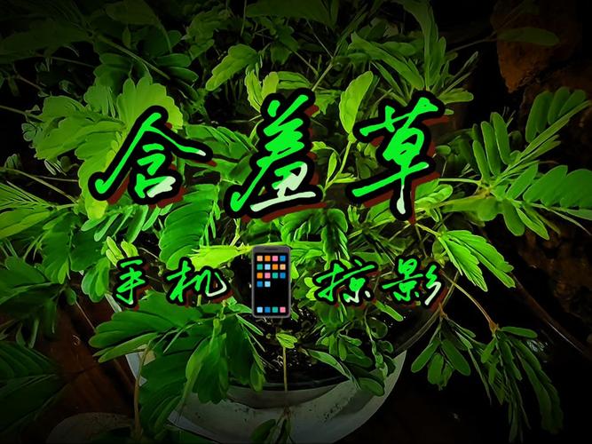 万达影院在线购票 | 最新电影排期查询、特惠选座购票、IMAX场次预订