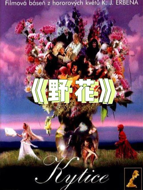 闪闪影院在线观看热门电影电视剧全集 | 最新高清影视资源 | 免费追剧平台推荐