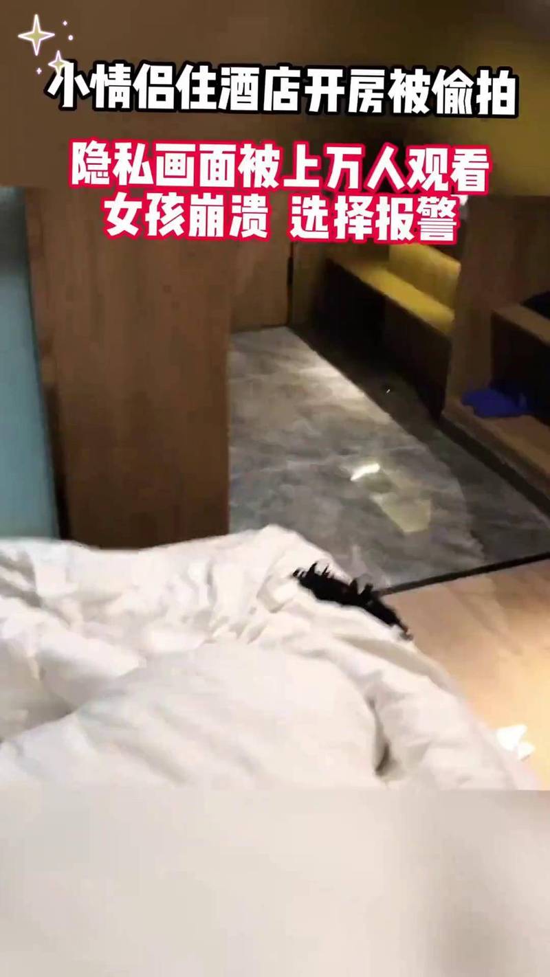 6080新视觉毛片的相关介绍