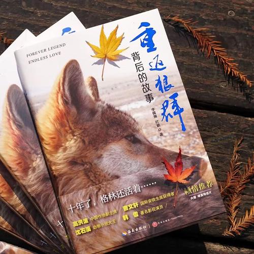草根影院在线观看免费版 | 最新热门电影电视剧高清资源 | 草根影院追剧神器推荐