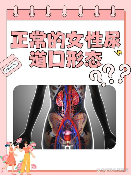 国产精品久久久久久日韩电影的相关介绍
