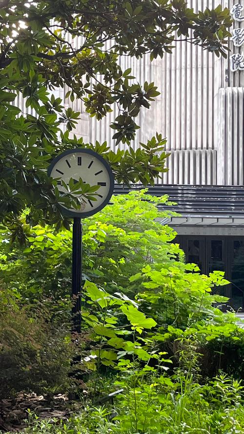 异界电影院：解锁跨次元观影体验，探索异世界沉浸式剧场与幻境影院